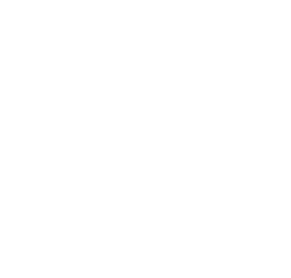 Phantom Works